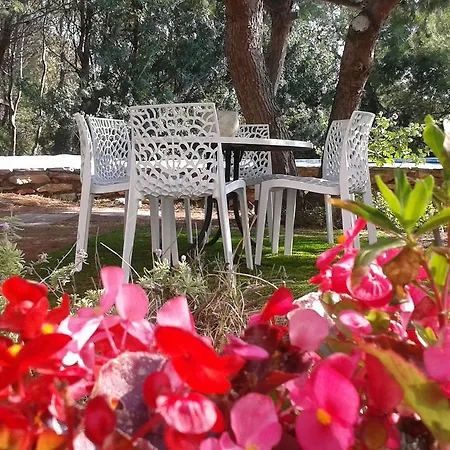 Veleta Villa Alcossebre